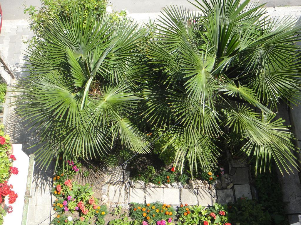Guest House Eos Sozopol Bagian luar foto